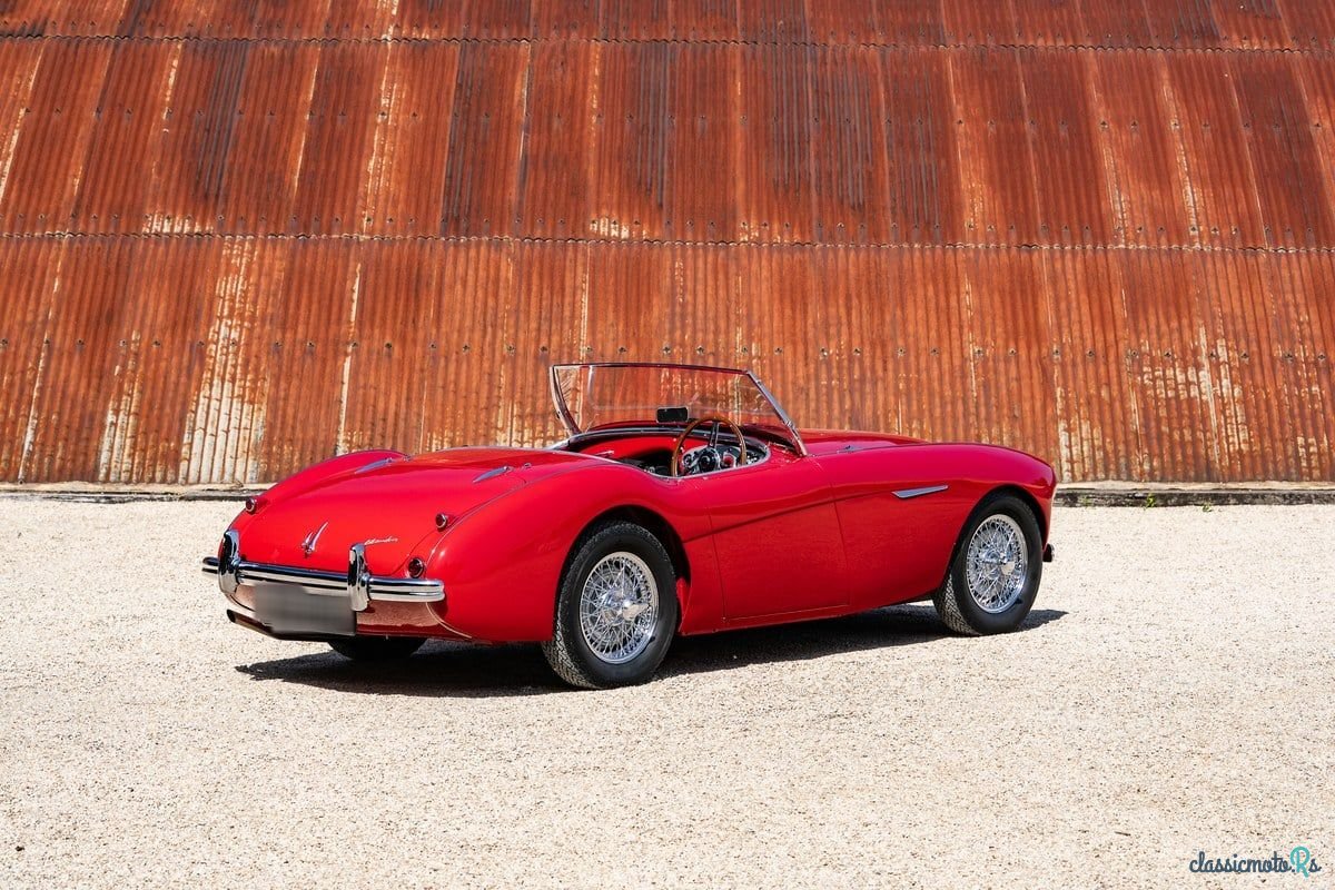 1955' Austin-Healey 100/4 photo #6