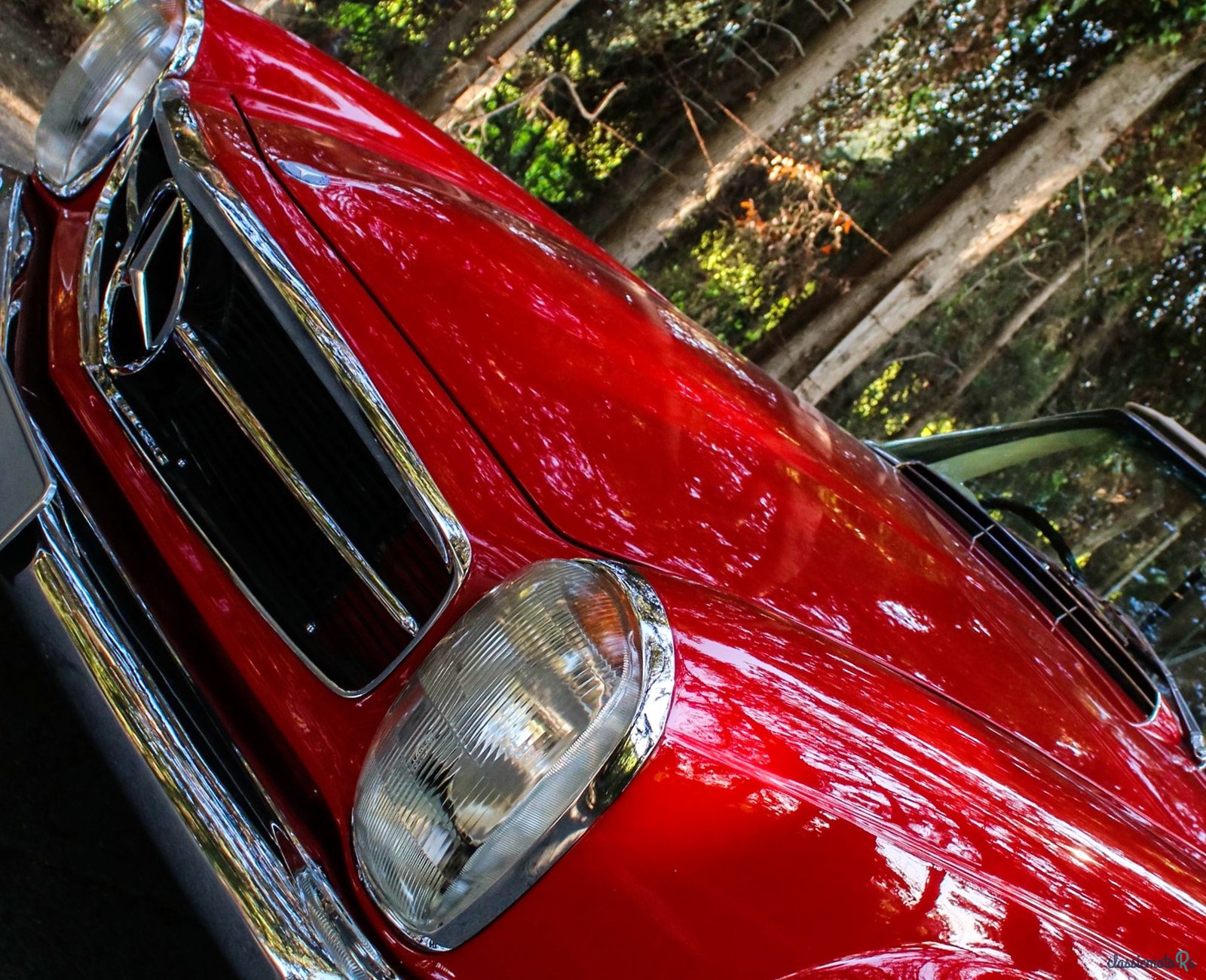 1967' Mercedes-Benz 250 photo #3