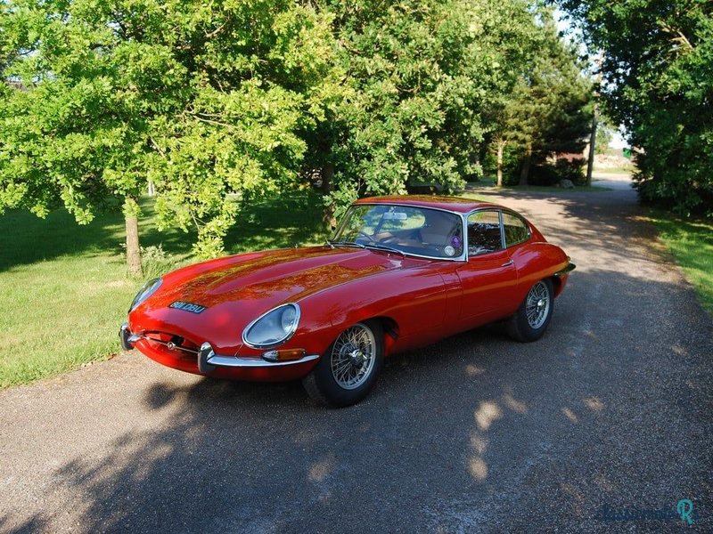 1962' Jaguar E-Type photo #5