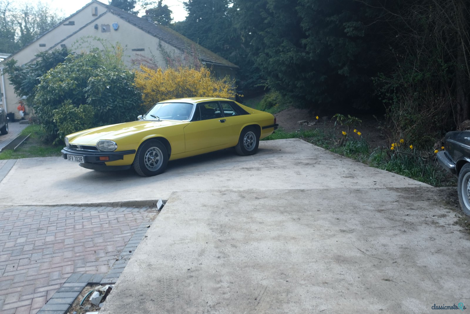 1977' Jaguar XJS photo #6
