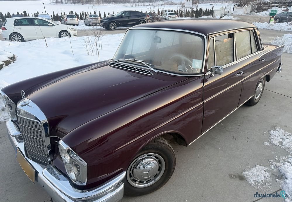 1963' Mercedes-Benz 220S W111 photo #2