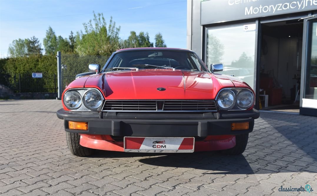 1979' Jaguar XJS photo #4