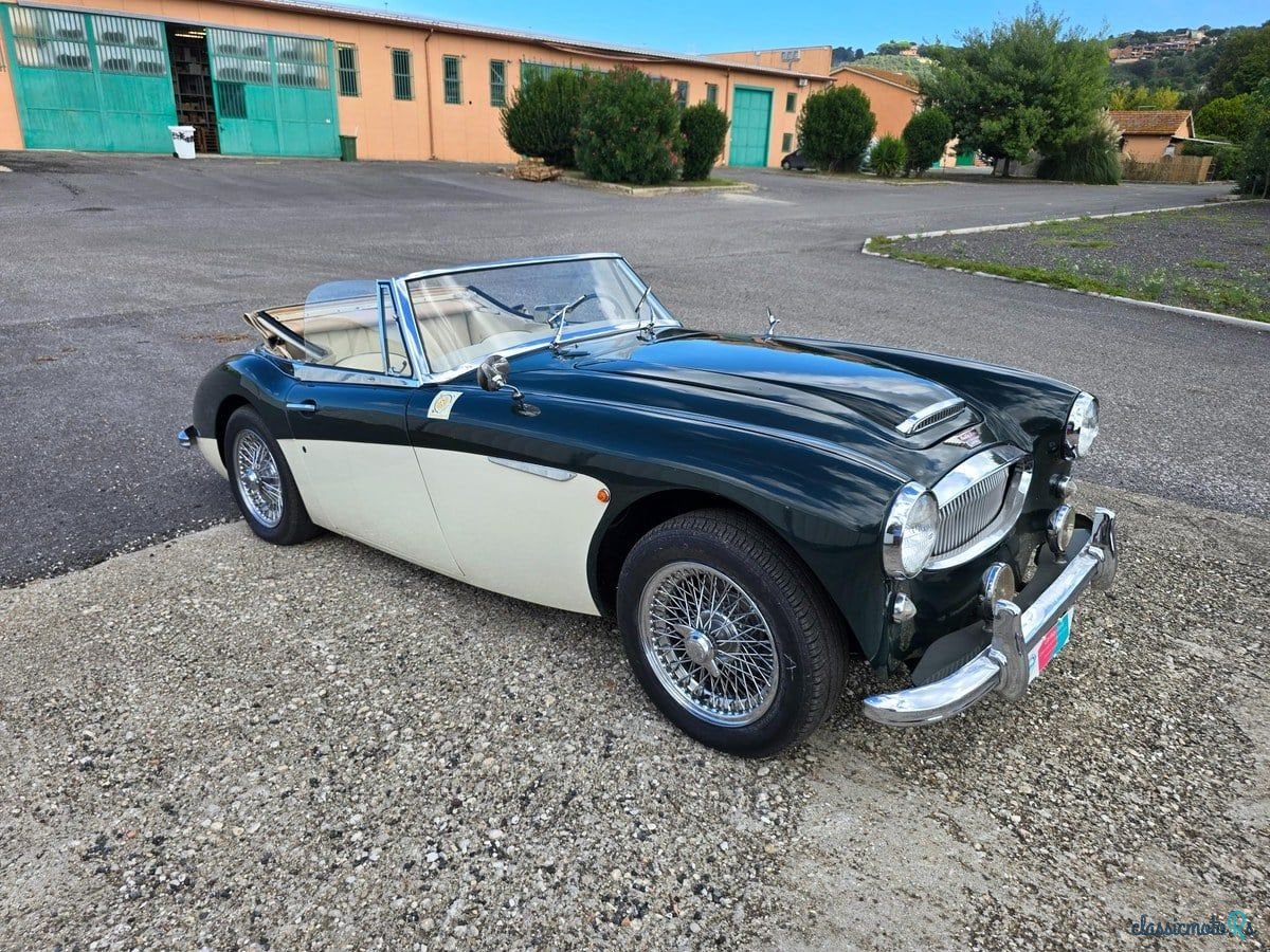 1962' Austin-Healey 3000 photo #4