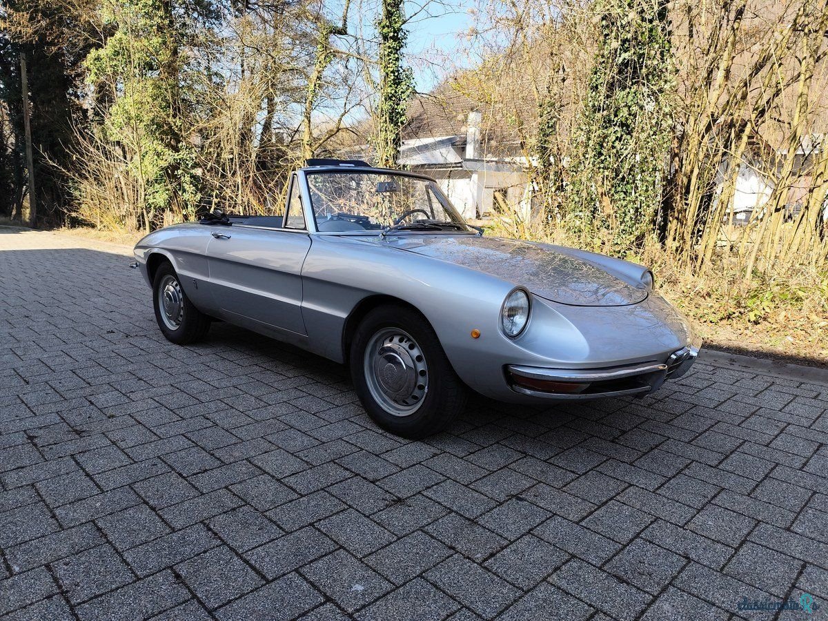 1968' Alfa Romeo Spider Duetto photo #3