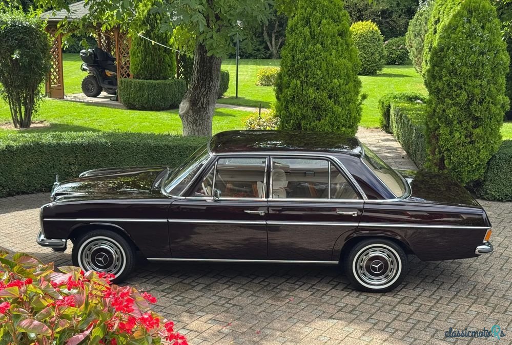 1969' Mercedes-Benz W115 200E photo #5