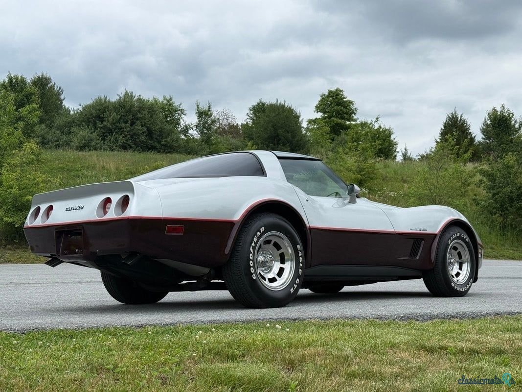1982' Chevrolet Corvette photo #6