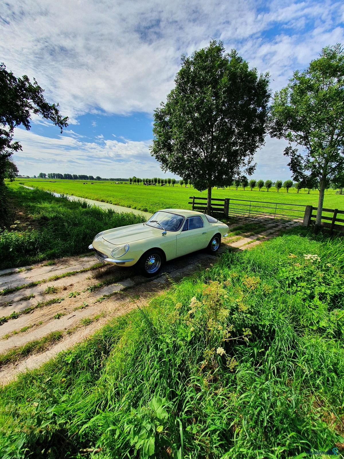 1980' DKW Puma Gt Malzoni photo #2