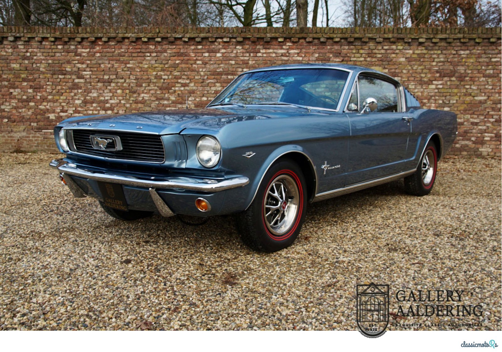 1966' Ford Mustang photo #1