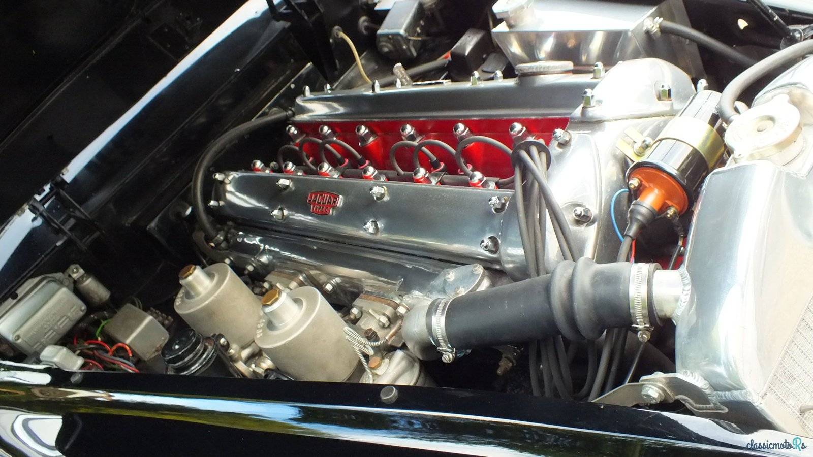 1955' Jaguar Xk140 photo #1