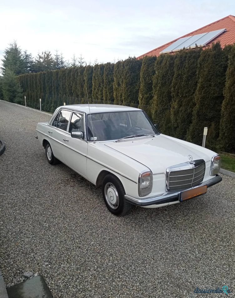 1975' Mercedes-Benz W123 photo #3