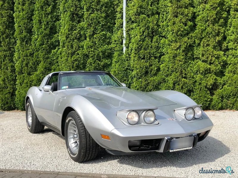 1979' Chevrolet Corvette photo #2