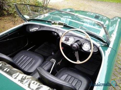 1954' Austin-Healey 100-4 100/4 photo #1