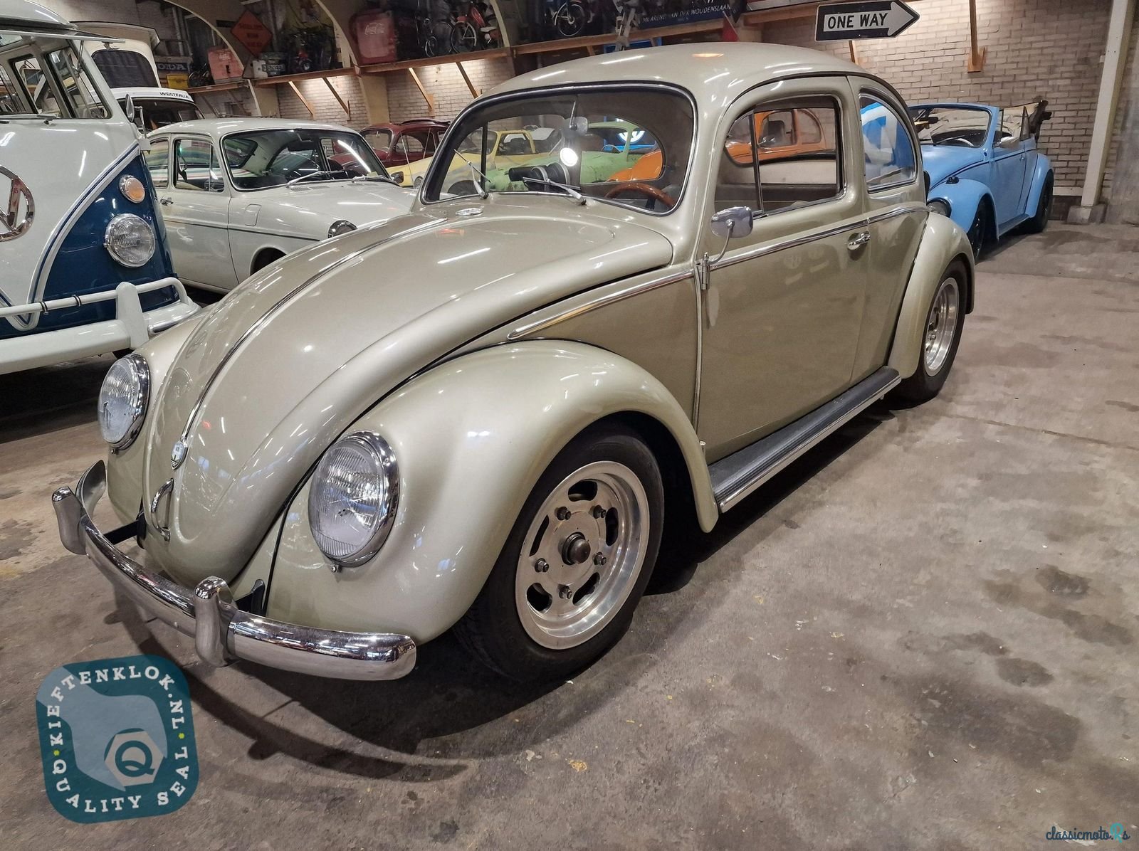1959' Volkswagen Beetle photo #2