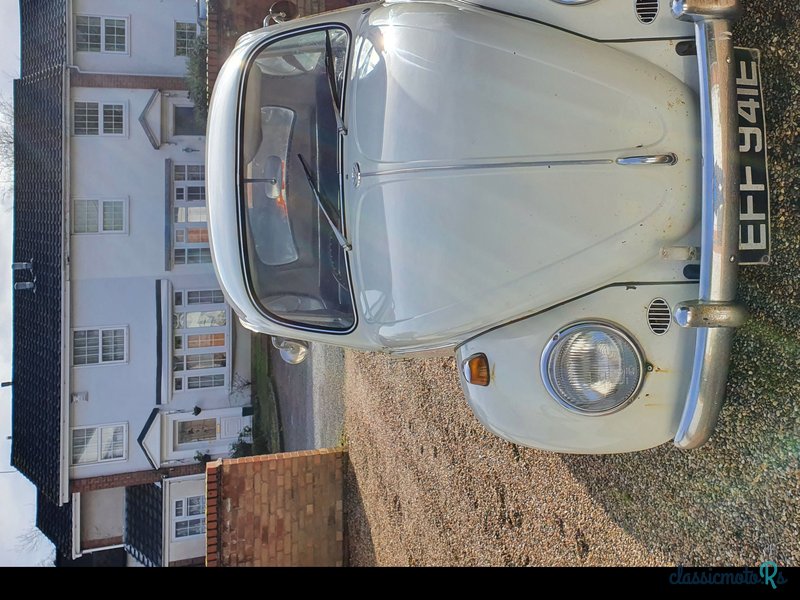 1967' Volkswagen Beetle photo #2