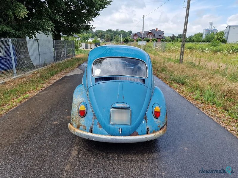 1965' Volkswagen Käfer photo #4