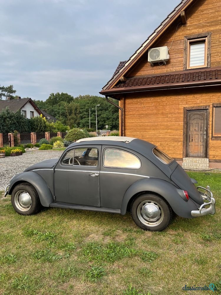 1962' Volkswagen Garbus photo #5