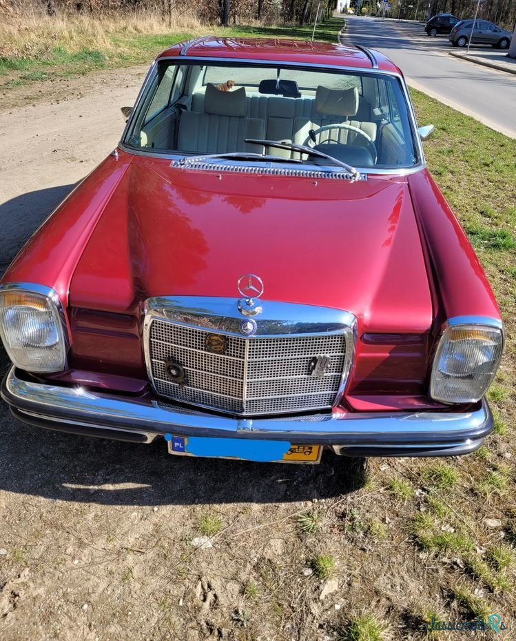 1970' Mercedes-Benz 250CE W114 photo #2