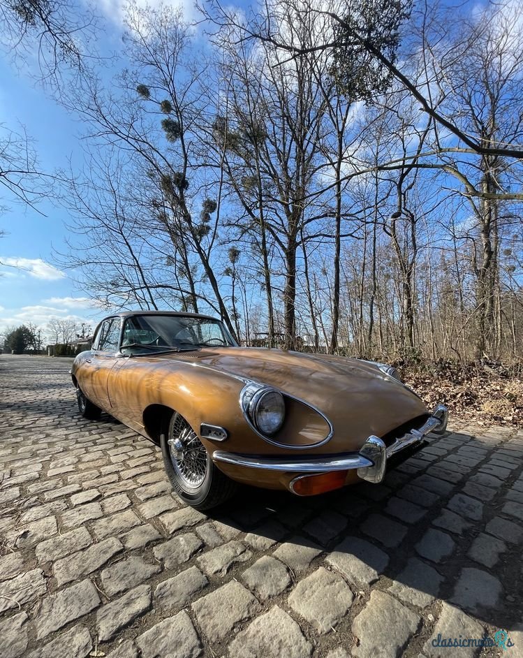 1970' Jaguar E-Type photo #1