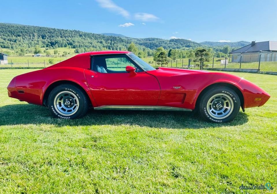 1977' Chevrolet Corvette photo #4