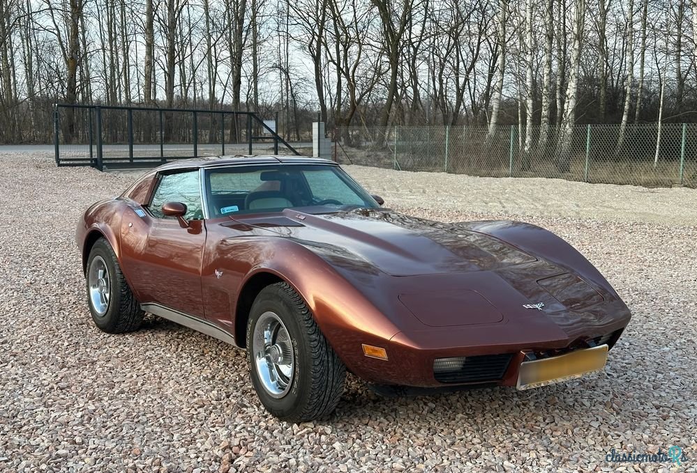 1977' Chevrolet Corvette photo #1