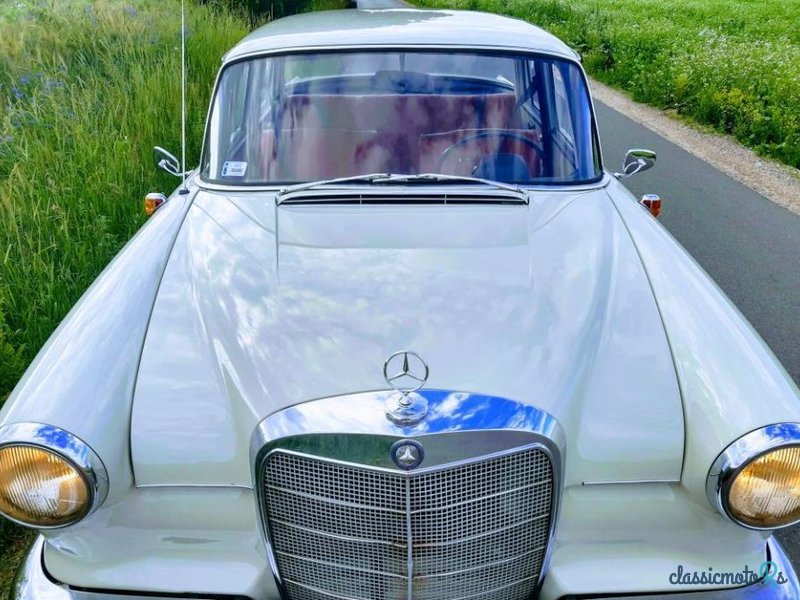 1962' Mercedes-Benz photo #4