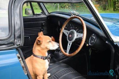 1971' Austin photo #4