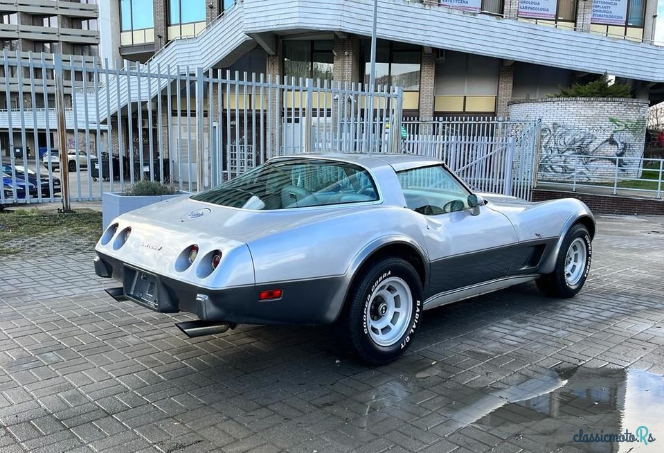 1978' Chevrolet Corvette photo #4