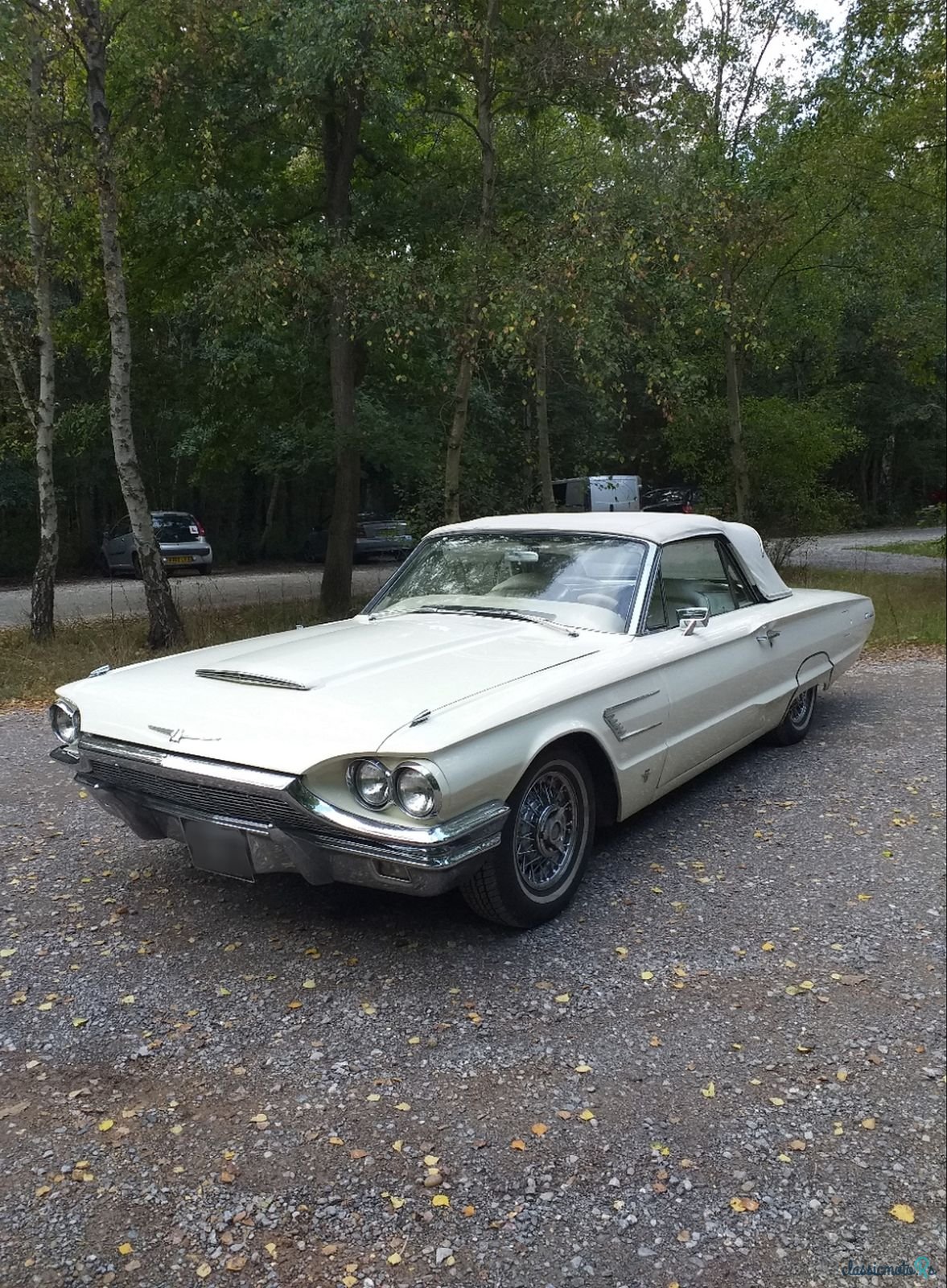 1965' Ford Thunderbird photo #3