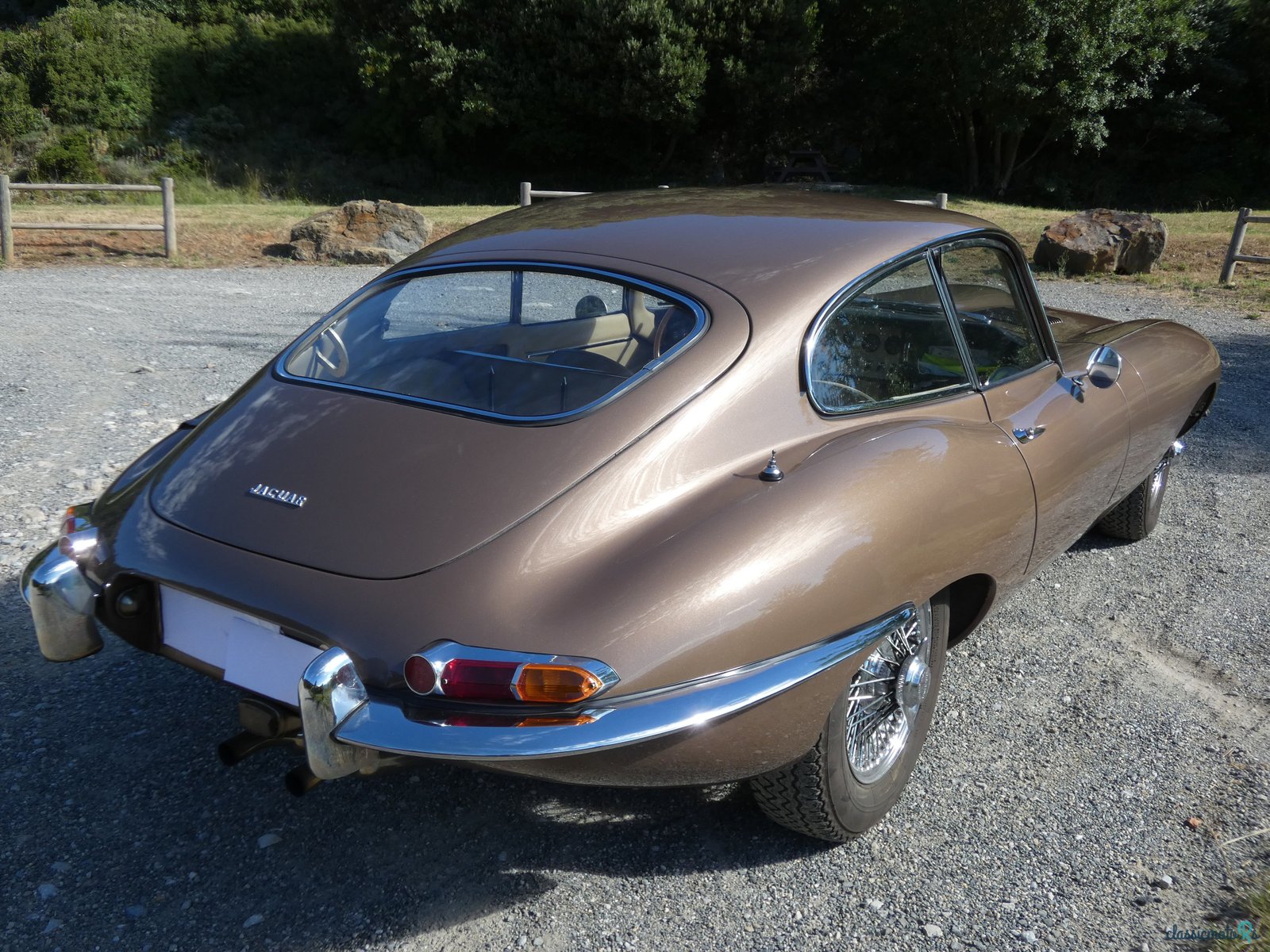1961' Jaguar E-Type photo #5