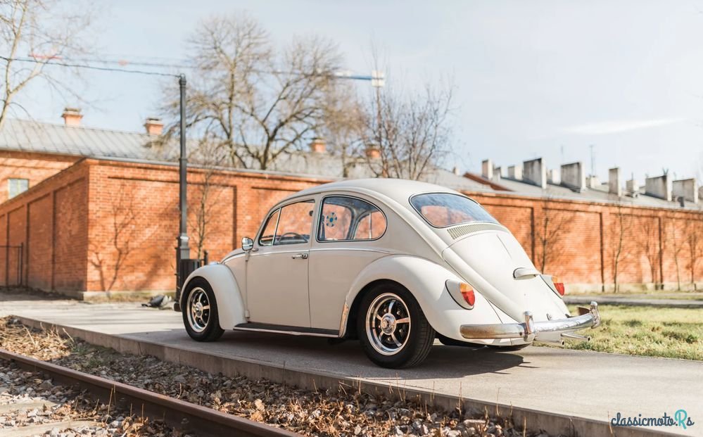 1965' Volkswagen Garbus photo #1