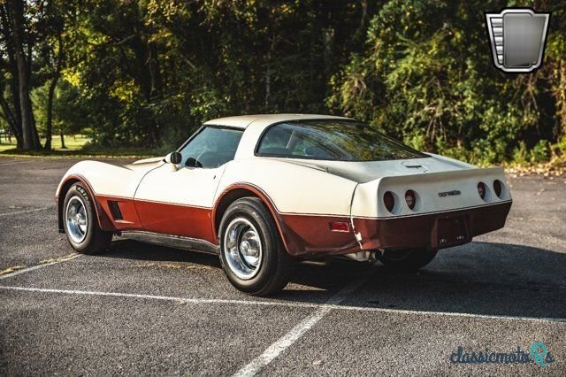 1981' Chevrolet Corvette photo #4