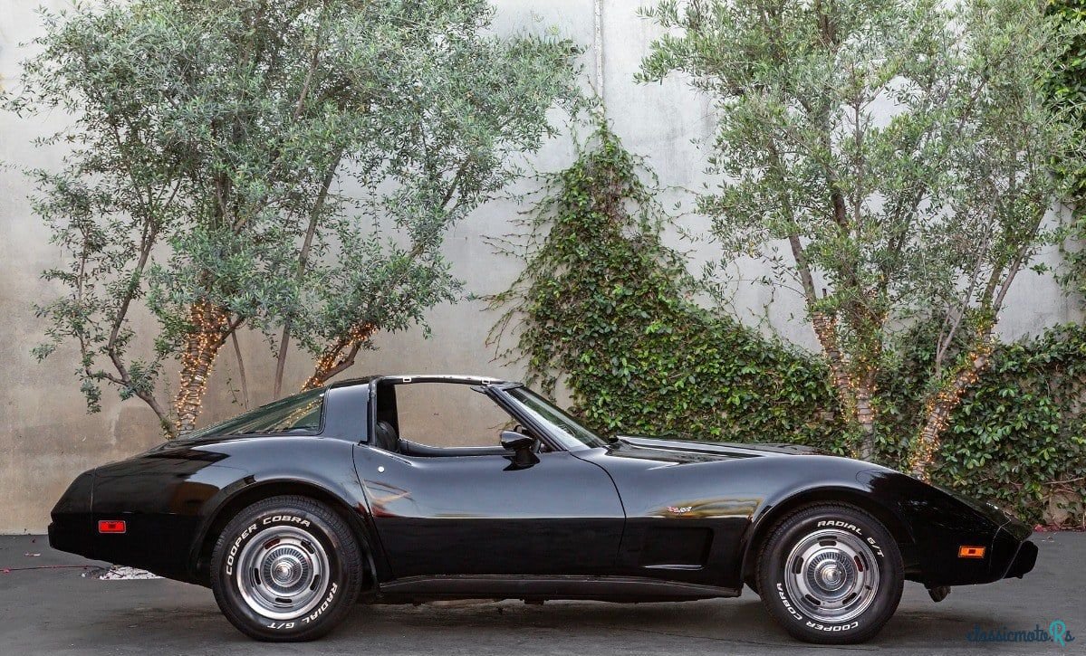 1979' Chevrolet Corvette photo #4