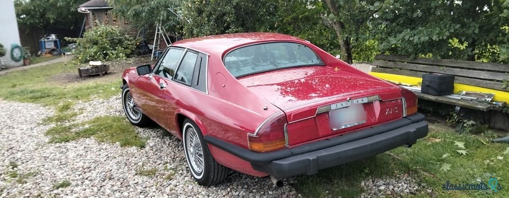 1977' Jaguar XJS photo #3