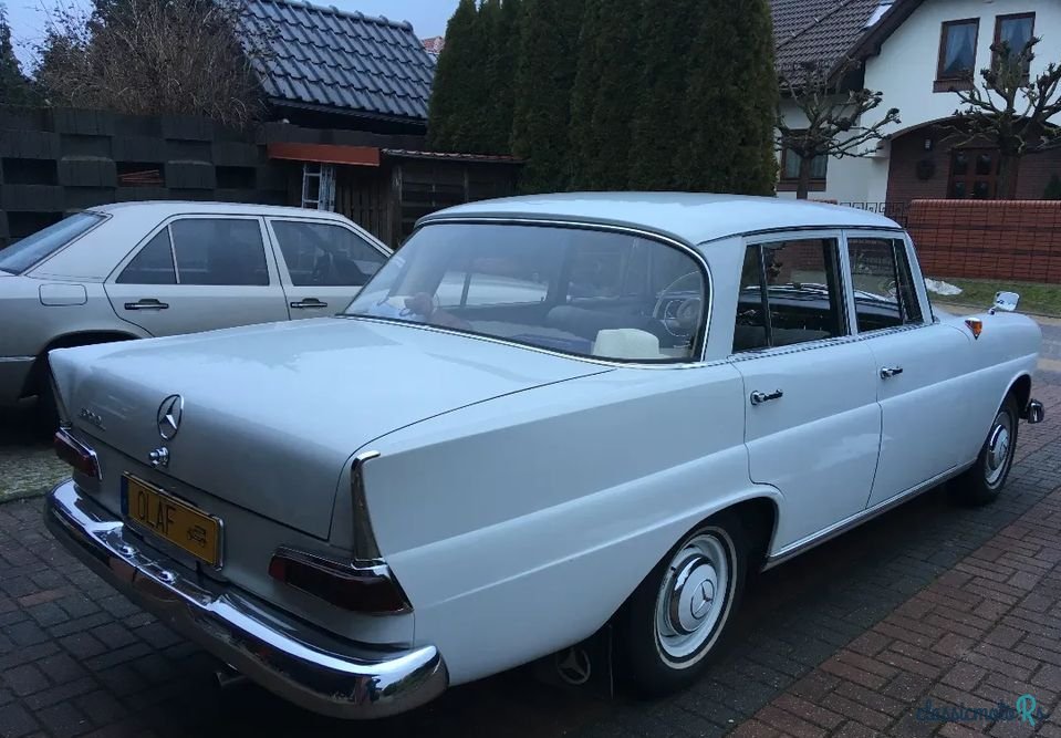 1965' Mercedes-Benz photo #3