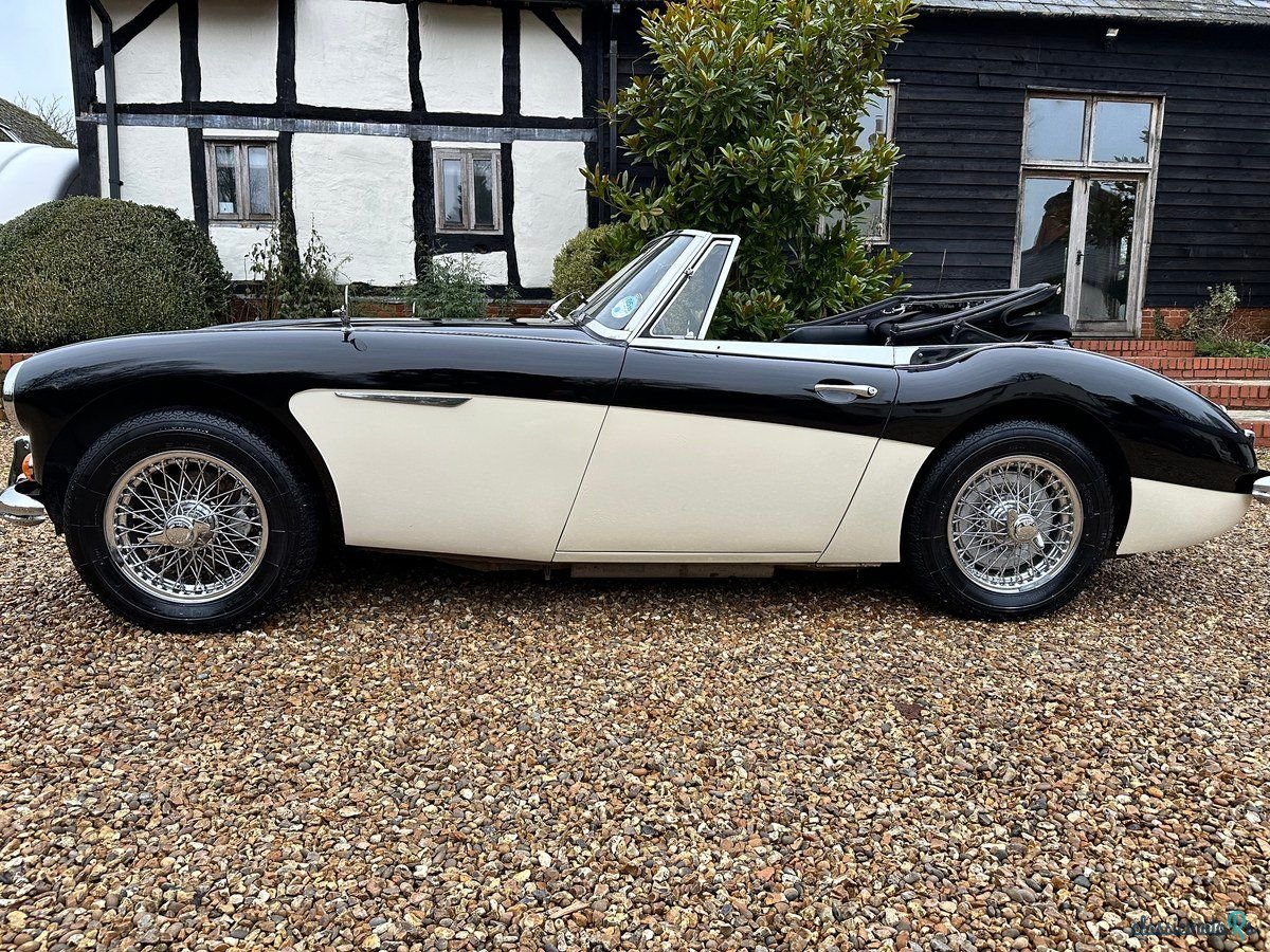 1964' Austin-Healey 3000 photo #5