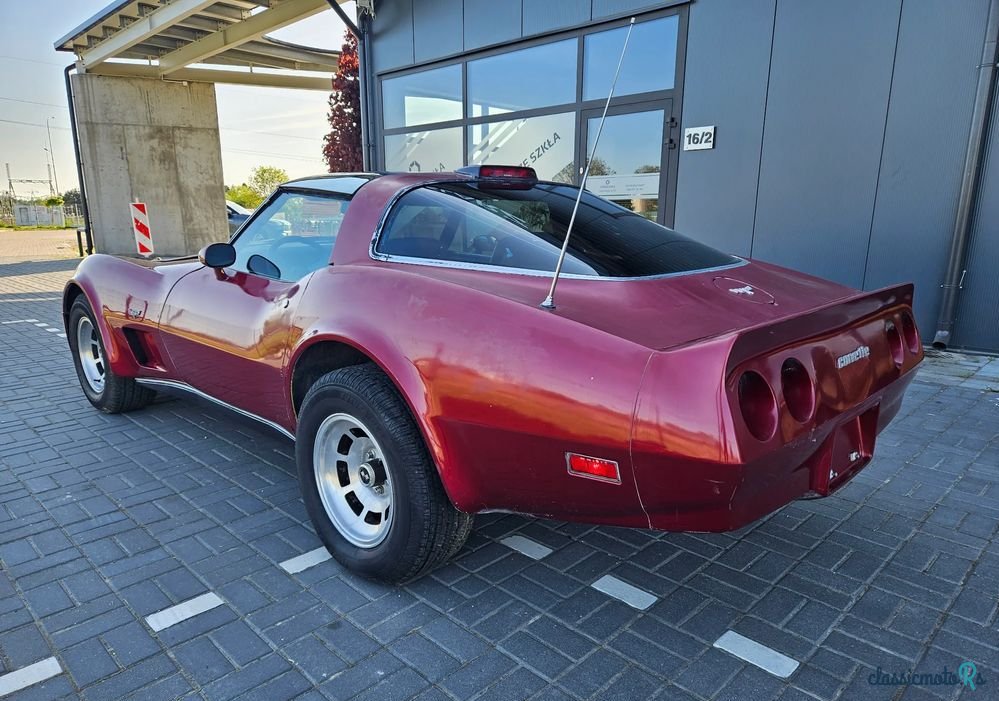1979' Chevrolet Corvette photo #6