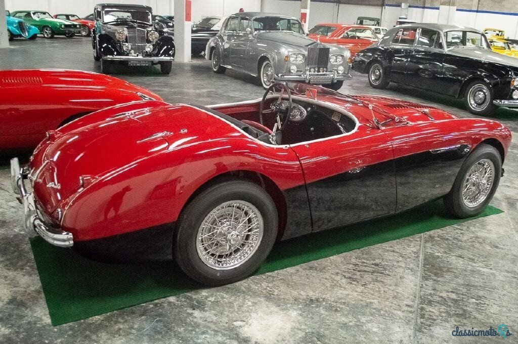 1956' Austin-Healey 100M photo #4