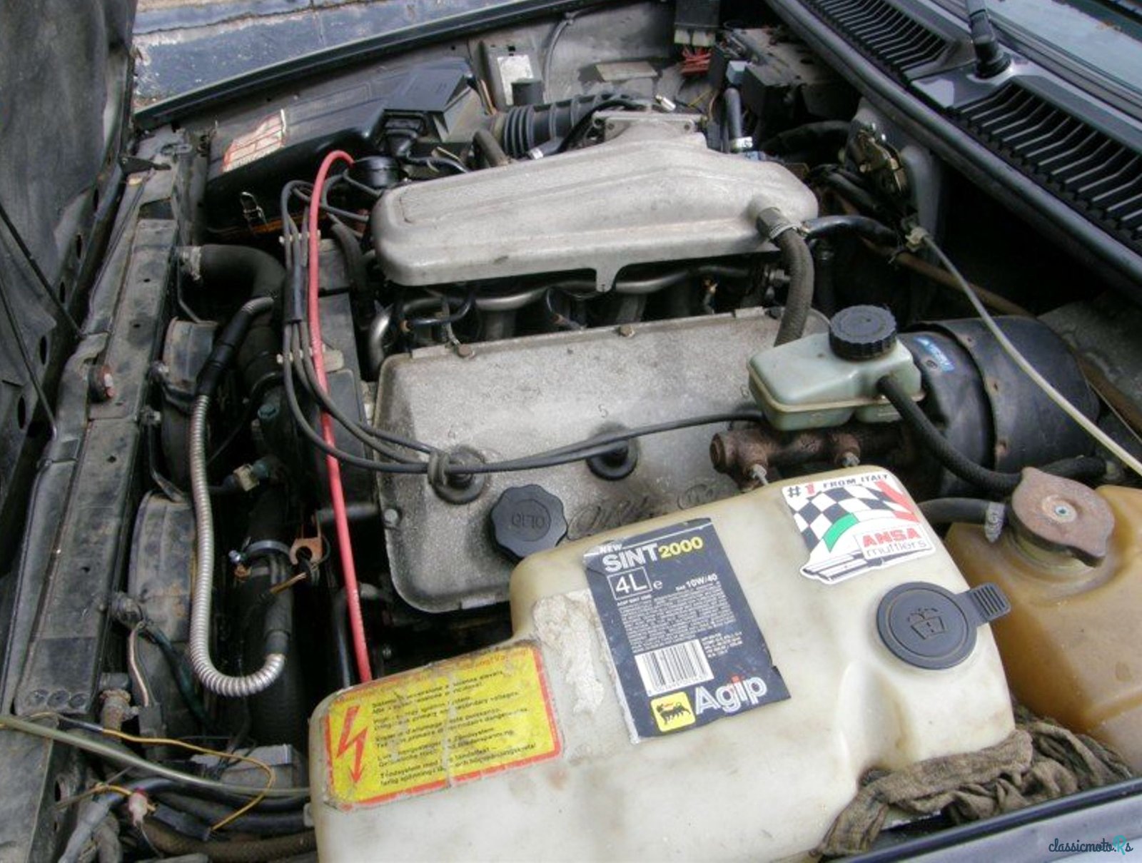 1984' Alfa Romeo Gtv photo #5