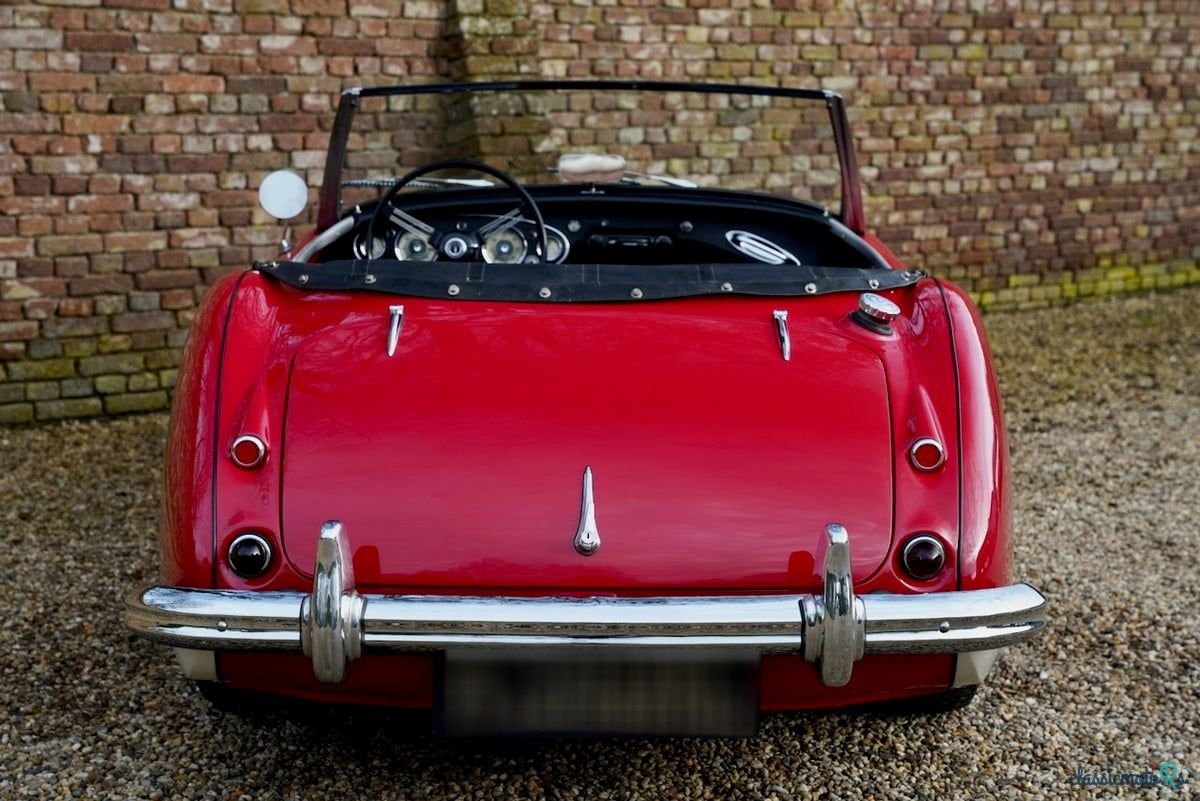 1961' Austin-Healey 3000 photo #5