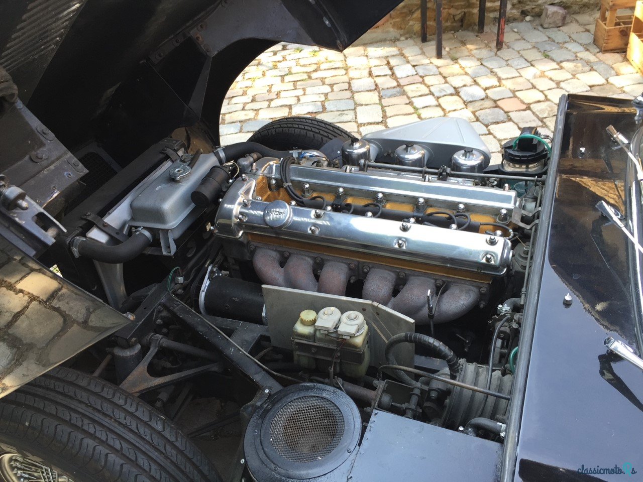 1964' Jaguar E-Type Serie 1 3.8 L FHC photo #4