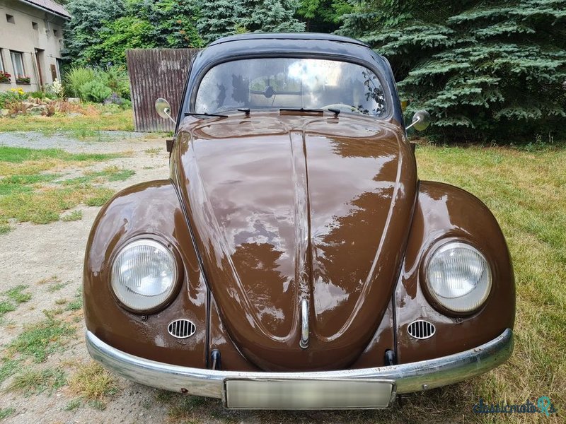 1954' Volkswagen Garbus photo #3