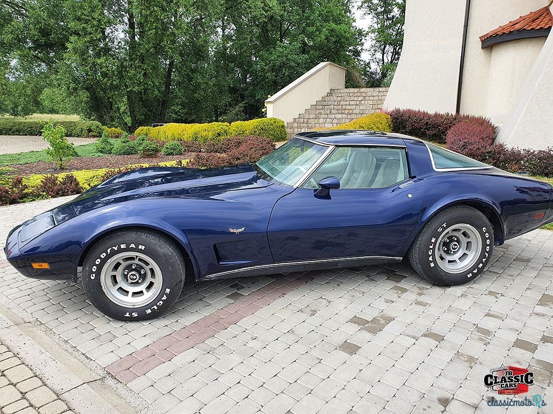 1978' Chevrolet Corvette photo #2