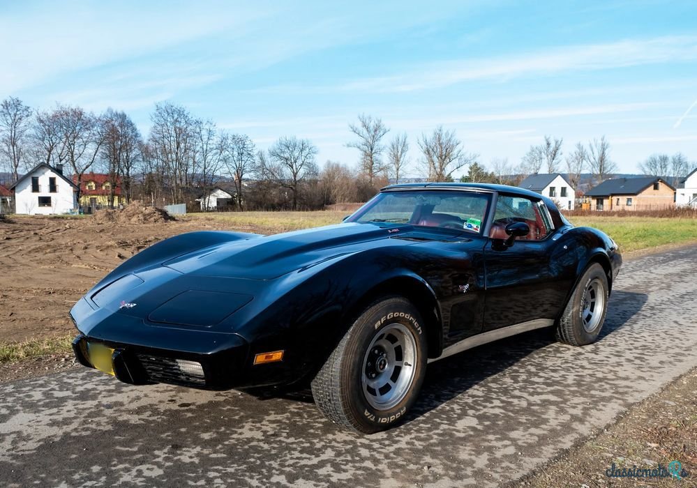 1979' Chevrolet Corvette photo #3