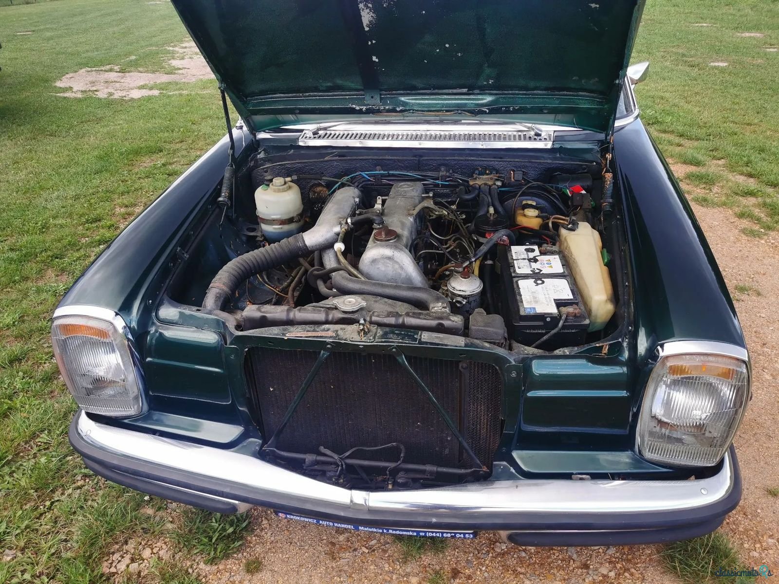 1972' Mercedes-Benz W114 photo #5