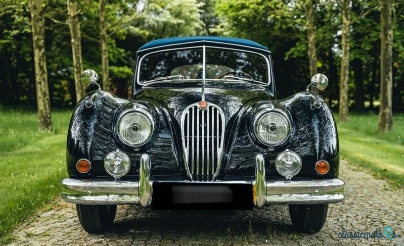 1955' Jaguar XK photo #2