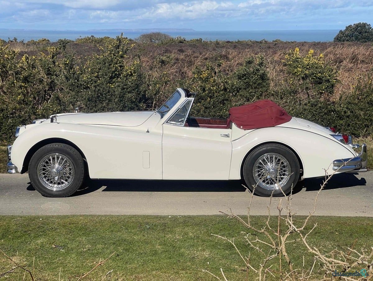 1955' Jaguar Xk140 photo #4