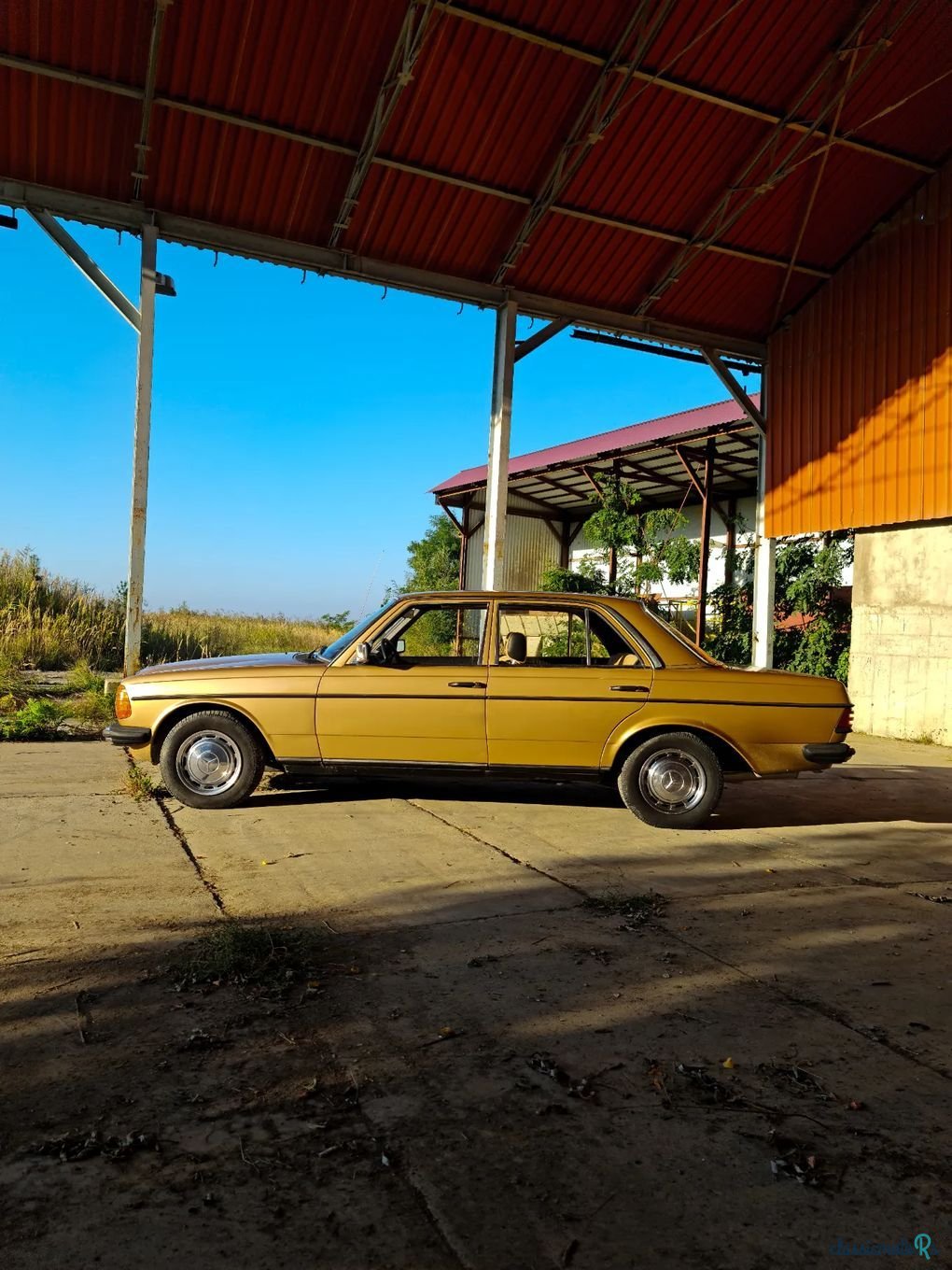 1977' Mercedes-Benz W123 photo #4