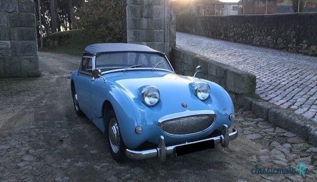 1959' Austin-Healey Sprite Frogeye photo #1