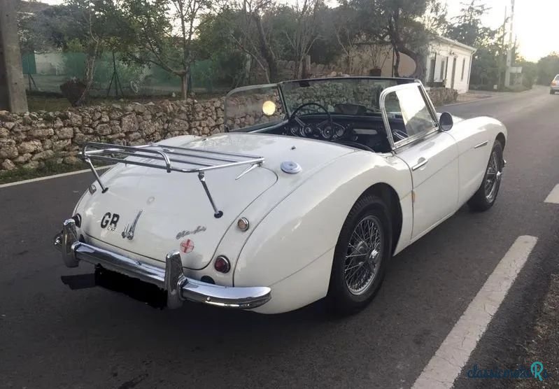 1959' Austin-Healey 3000 photo #3