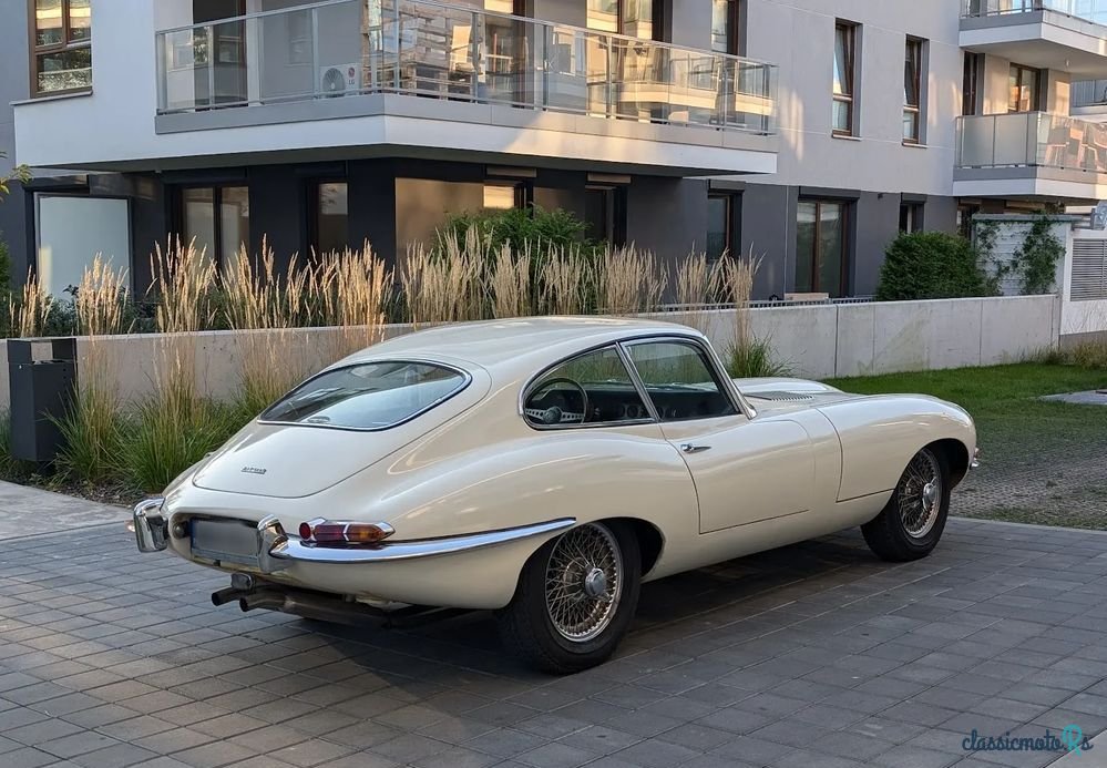 1962' Jaguar E-Type photo #2